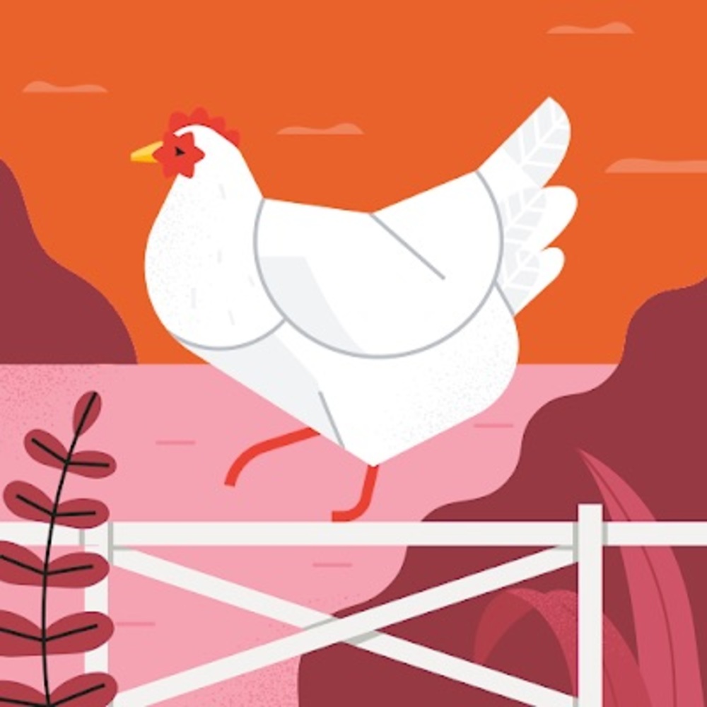 Meet your Posher, Ori